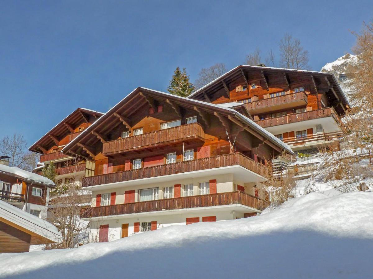 Apartment Plein Soleil By Interhome Wengen Extérieur photo