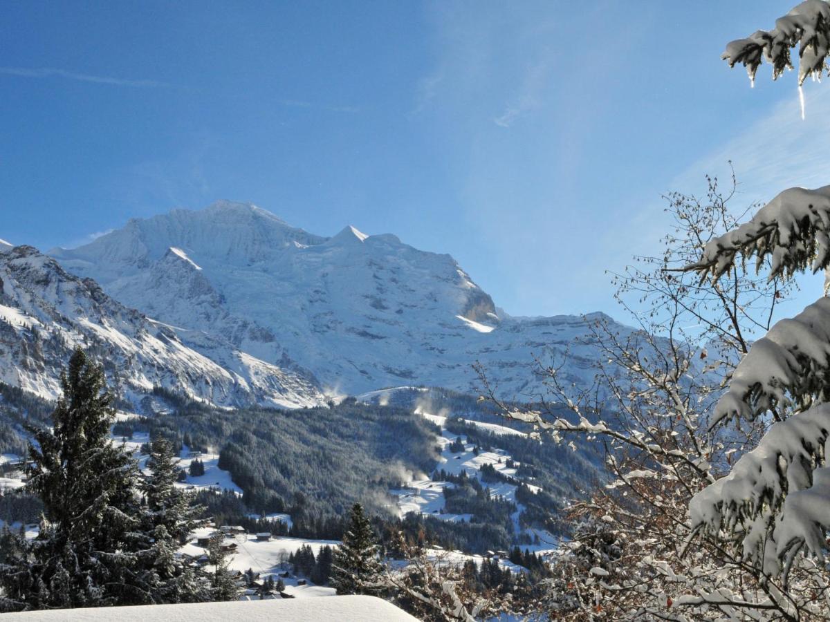 Apartment Plein Soleil By Interhome Wengen Extérieur photo